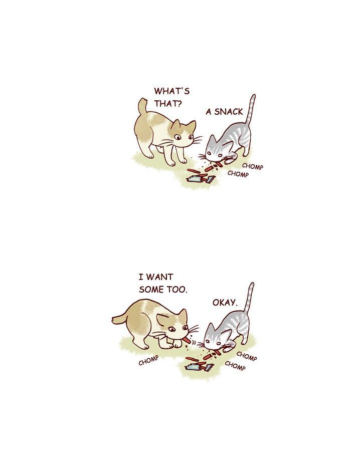 My Young Cat and My Old Dog Chapter 207 page 7 - Chapter 207