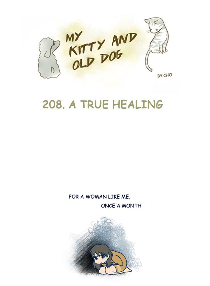 My Young Cat and My Old Dog Chapter 208 page 1 - Chapter 208