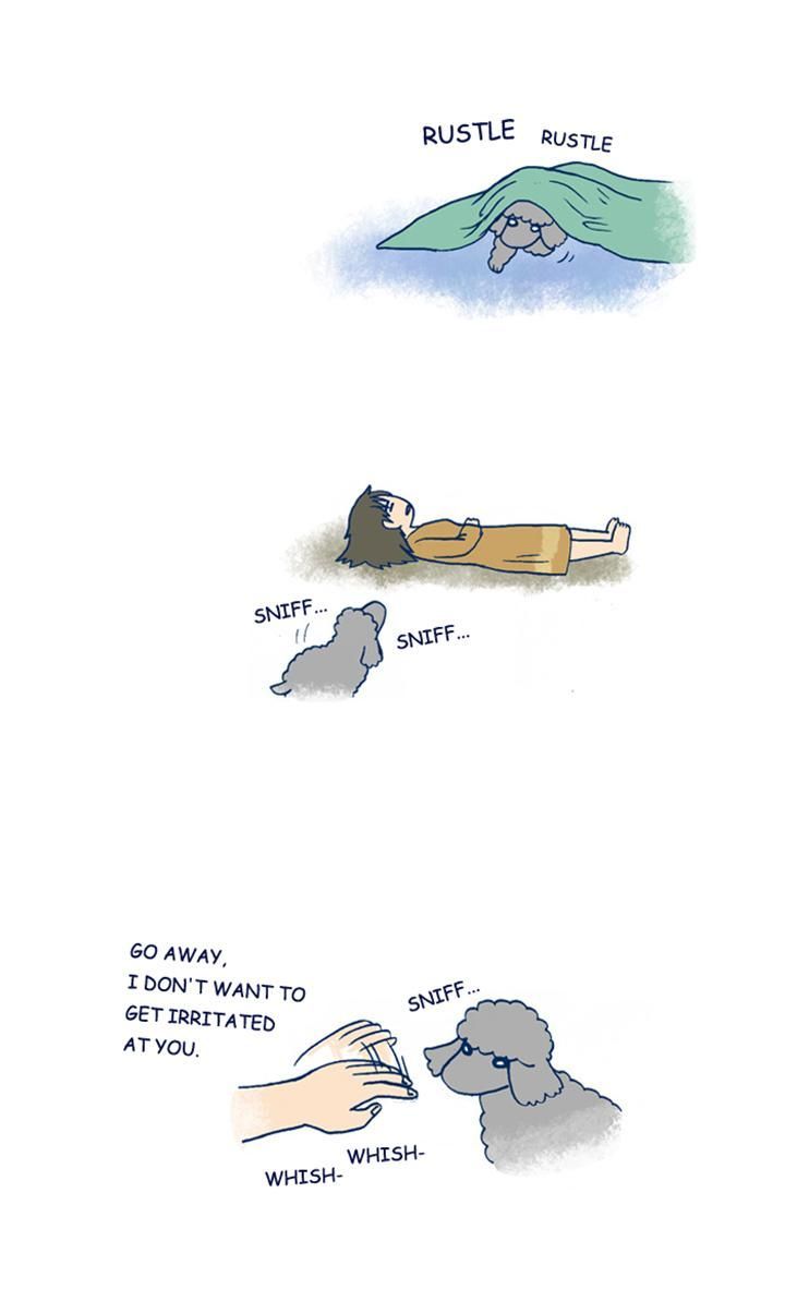 My Young Cat and My Old Dog Chapter 208 page 3 - Chapter 208