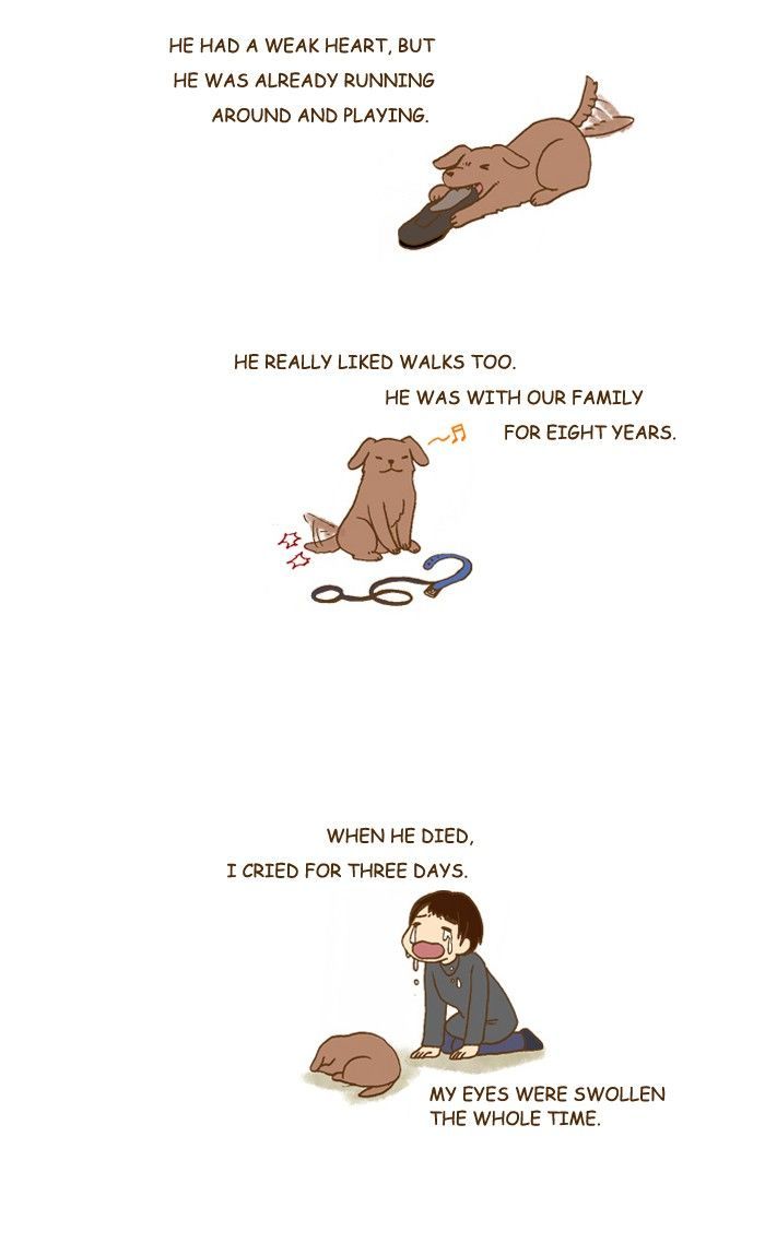 My Young Cat and My Old Dog Chapter 209 page 2 - Chapter 209