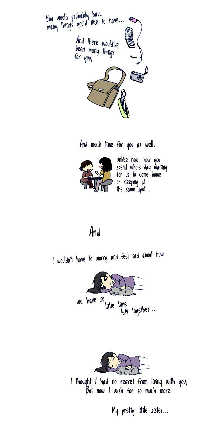 My Young Cat and My Old Dog Chapter 21 page 2 - Chapter 21