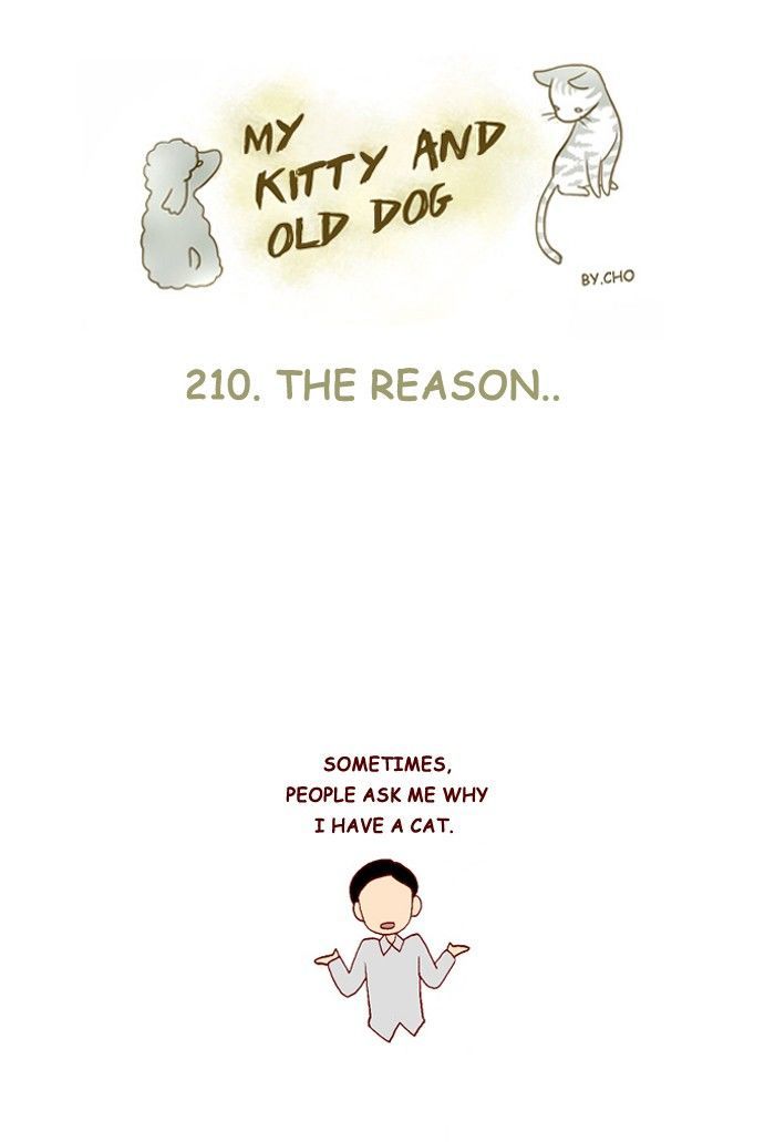My Young Cat and My Old Dog Chapter 210 page 1 - Chapter 210