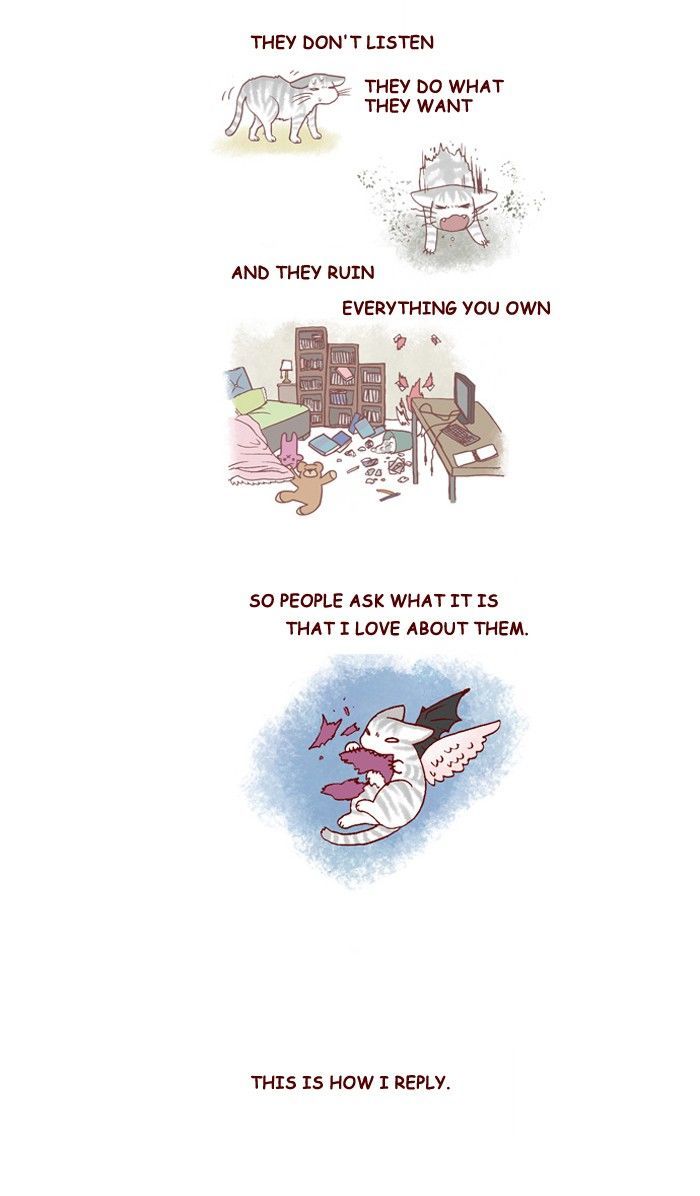 My Young Cat and My Old Dog Chapter 210 page 2 - Chapter 210