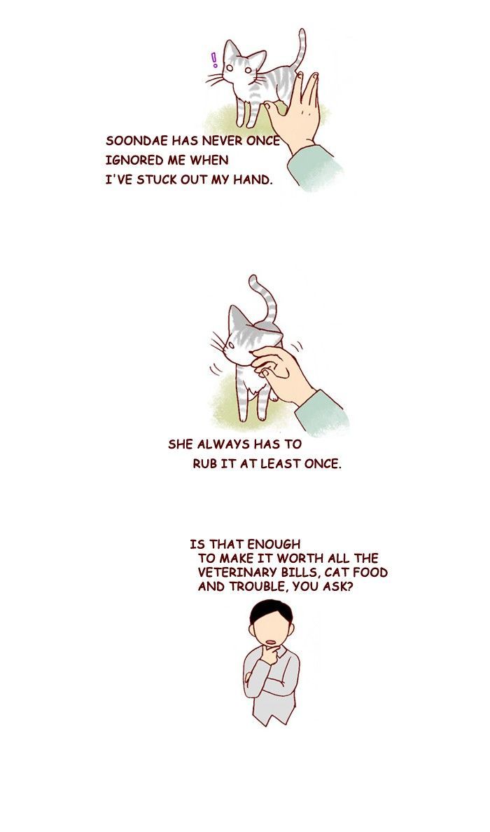 My Young Cat and My Old Dog Chapter 210 page 3 - Chapter 210