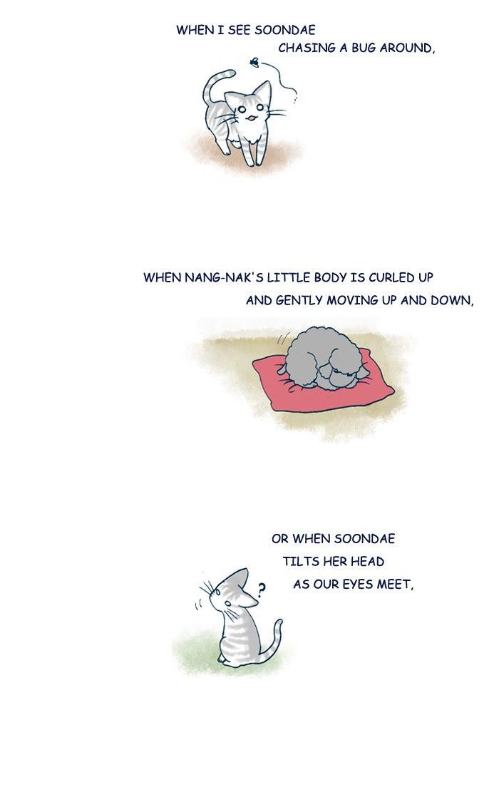 My Young Cat and My Old Dog Chapter 211 page 2 - Chapter 211