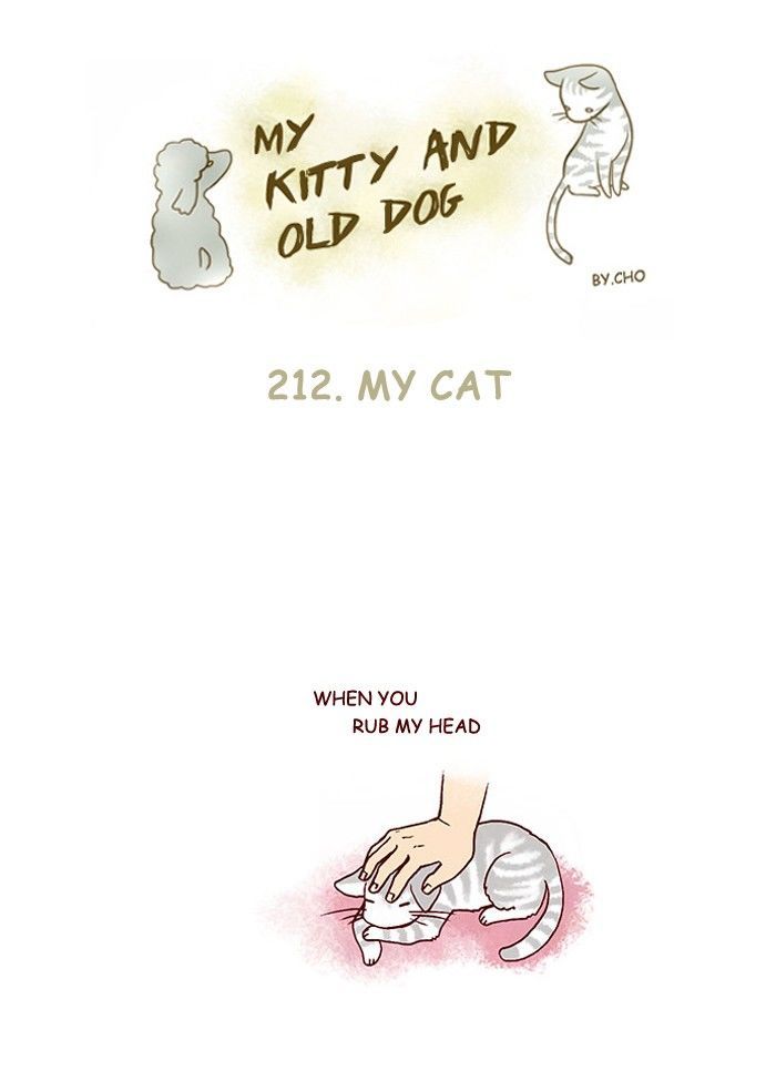 My Young Cat and My Old Dog Chapter 212 page 1 - Chapter 212