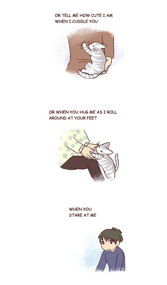 My Young Cat and My Old Dog Chapter 212 page 2 - Chapter 212