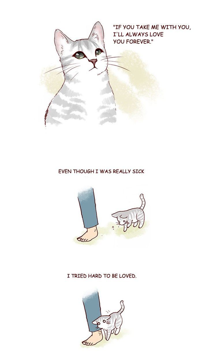 My Young Cat and My Old Dog Chapter 212 page 5 - Chapter 212