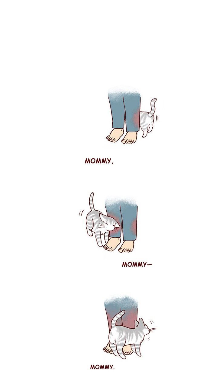 My Young Cat and My Old Dog Chapter 212 page 6 - Chapter 212