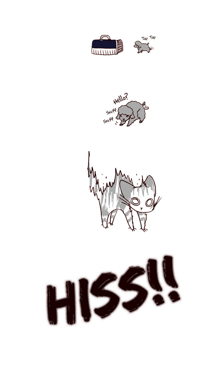 My Young Cat and My Old Dog Chapter 28 page 3 - Chapter 28