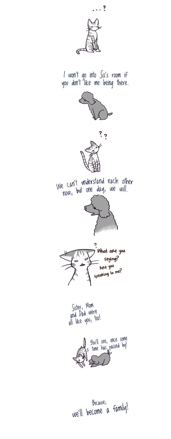 My Young Cat and My Old Dog Chapter 29 page 2 - Chapter 29