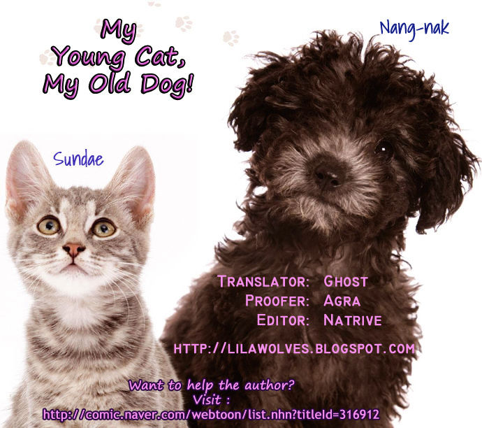 My Young Cat and My Old Dog Chapter 33 page 4 - Chapter 33