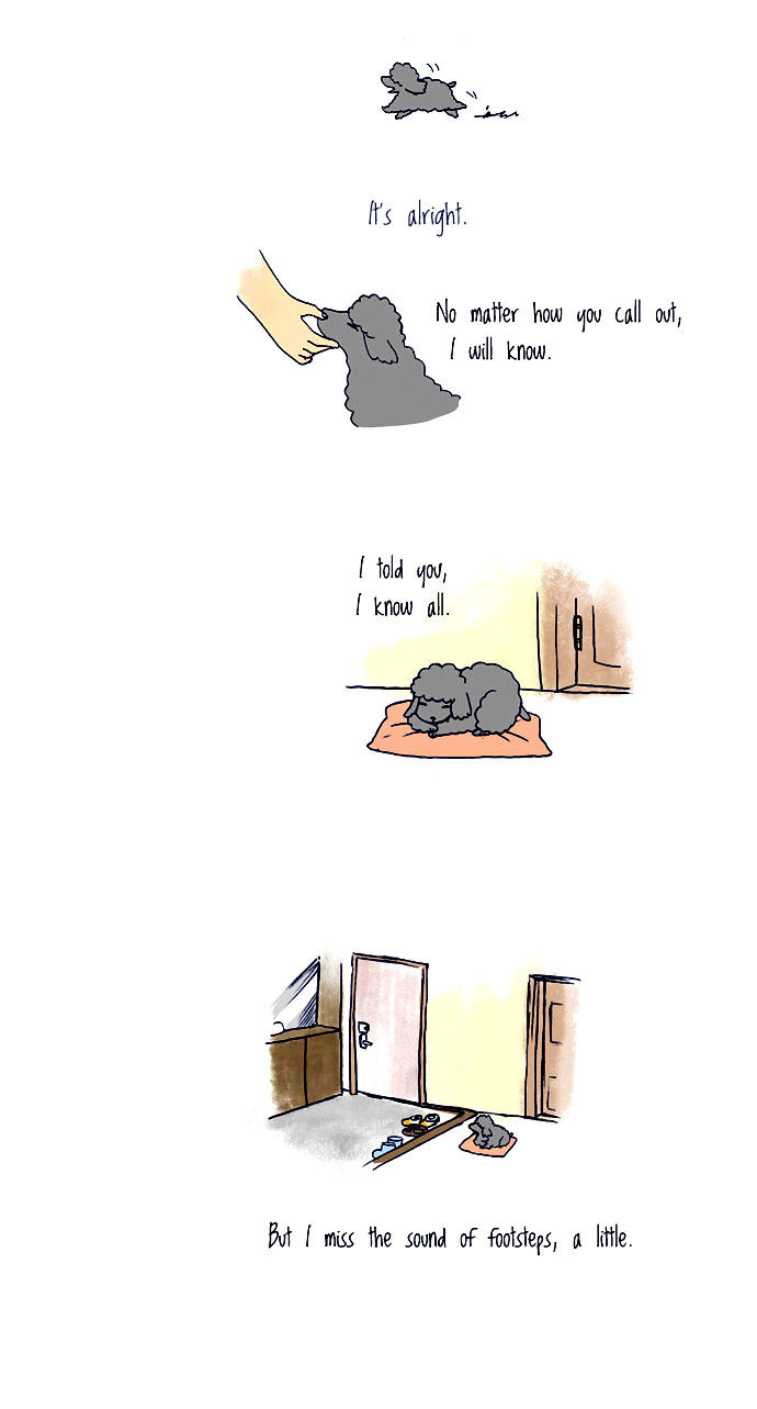 My Young Cat and My Old Dog Chapter 38 page 3 - Chapter 38