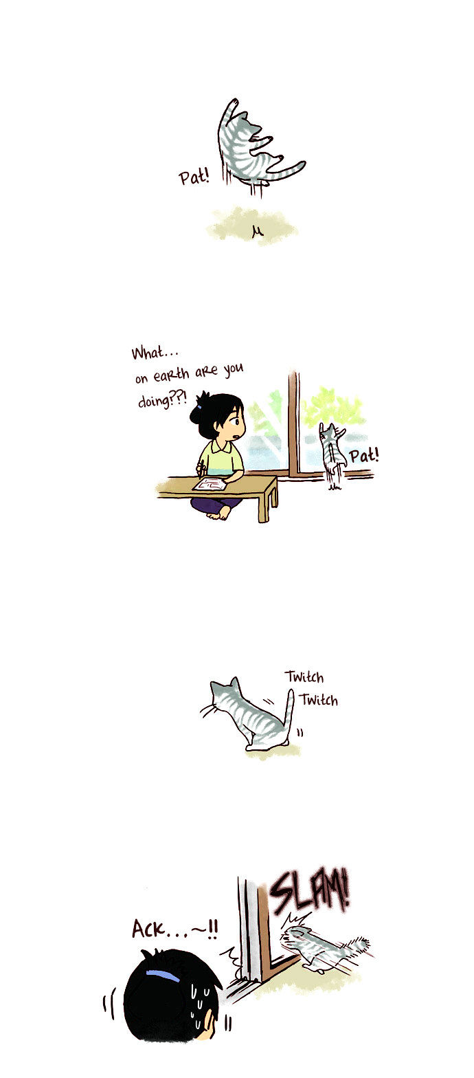 My Young Cat and My Old Dog Chapter 39 page 2 - Chapter 39