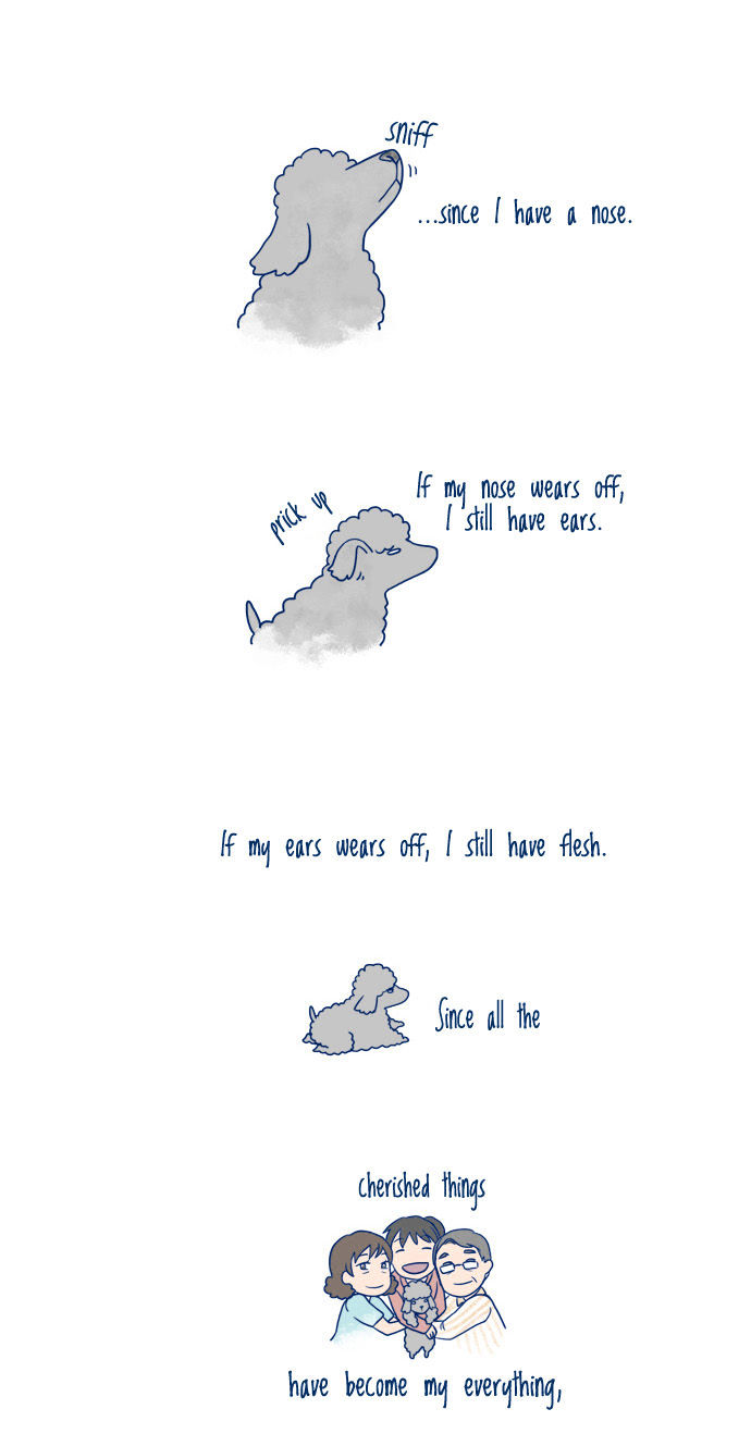 My Young Cat and My Old Dog Chapter 4 page 2 - Chapter 4 : It's Alright