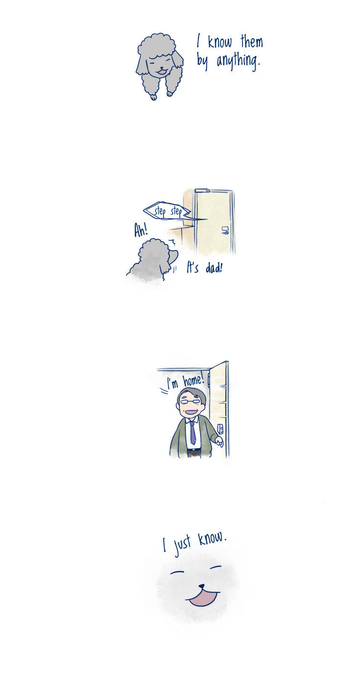 My Young Cat and My Old Dog Chapter 4 page 3 - Chapter 4 : It's Alright