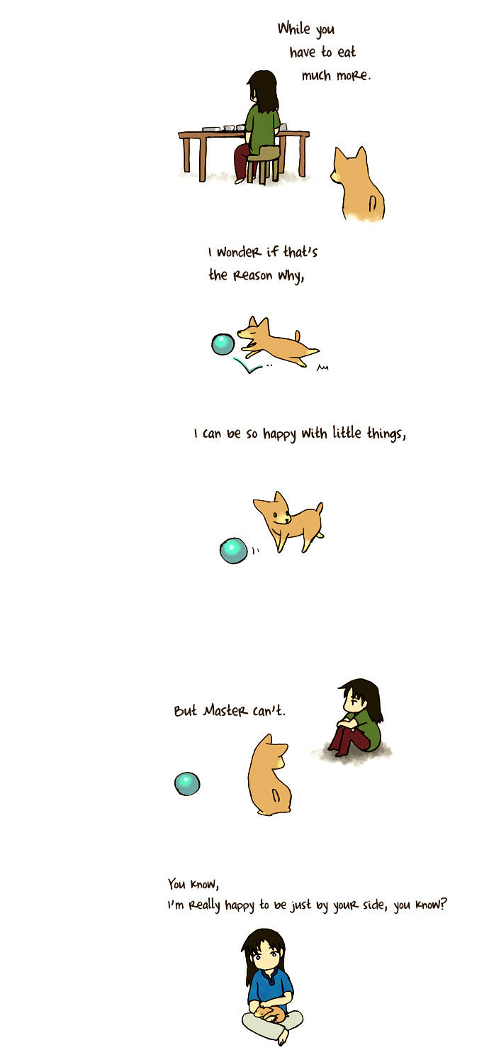 My Young Cat and My Old Dog Chapter 40 page 2 - Chapter 40