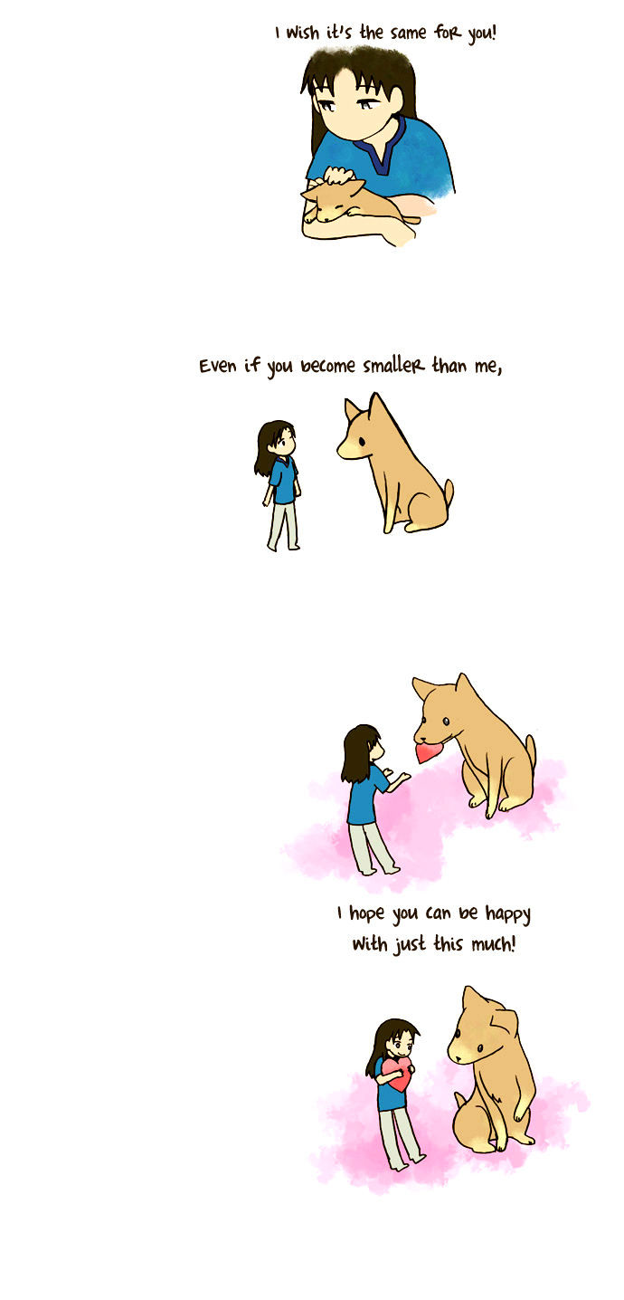 My Young Cat and My Old Dog Chapter 40 page 3 - Chapter 40