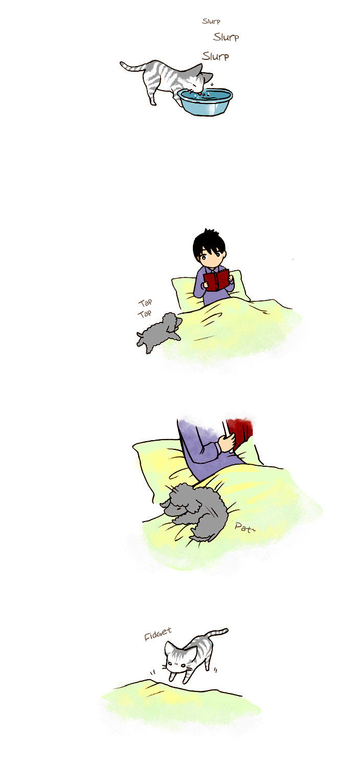 My Young Cat and My Old Dog Chapter 41 page 3 - Chapter 41 : Sundae's Way of Getting Closer