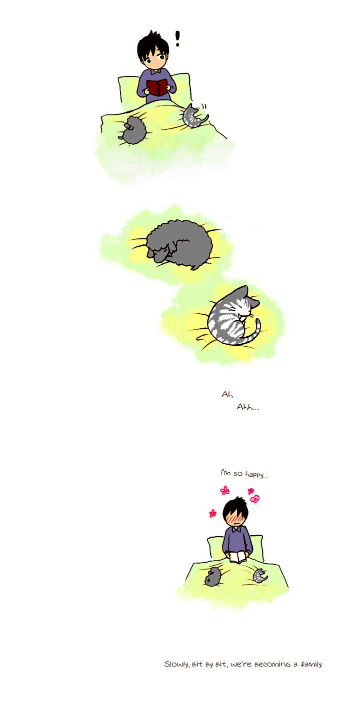 My Young Cat and My Old Dog Chapter 41 page 4 - Chapter 41 : Sundae's Way of Getting Closer