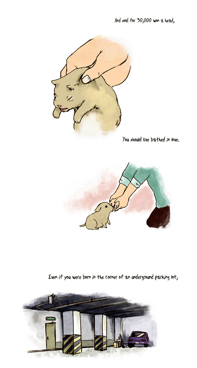 My Young Cat and My Old Dog Chapter 44 page 2 - Chapter 44