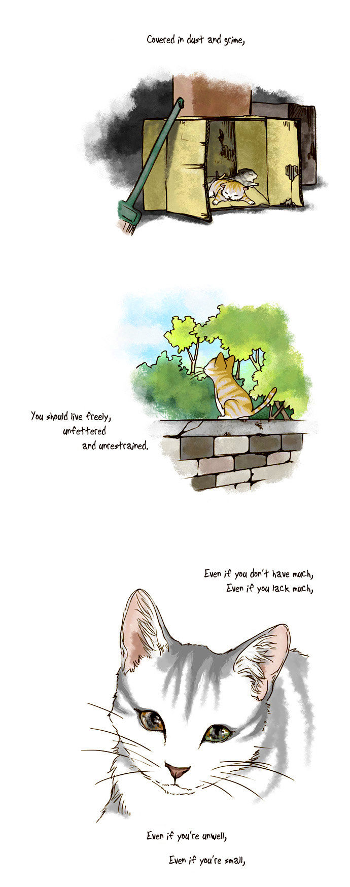 My Young Cat and My Old Dog Chapter 44 page 3 - Chapter 44