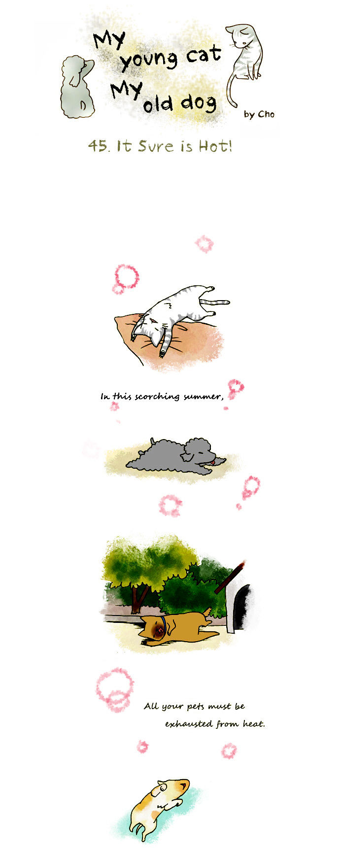 My Young Cat and My Old Dog Chapter 45 page 1 - Chapter 45