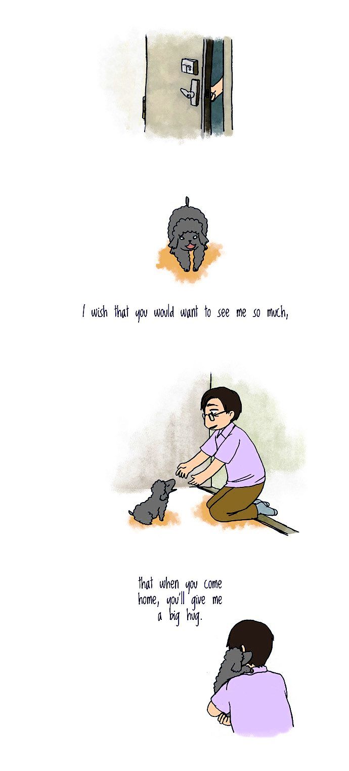 My Young Cat and My Old Dog Chapter 46 page 3 - Chapter 46