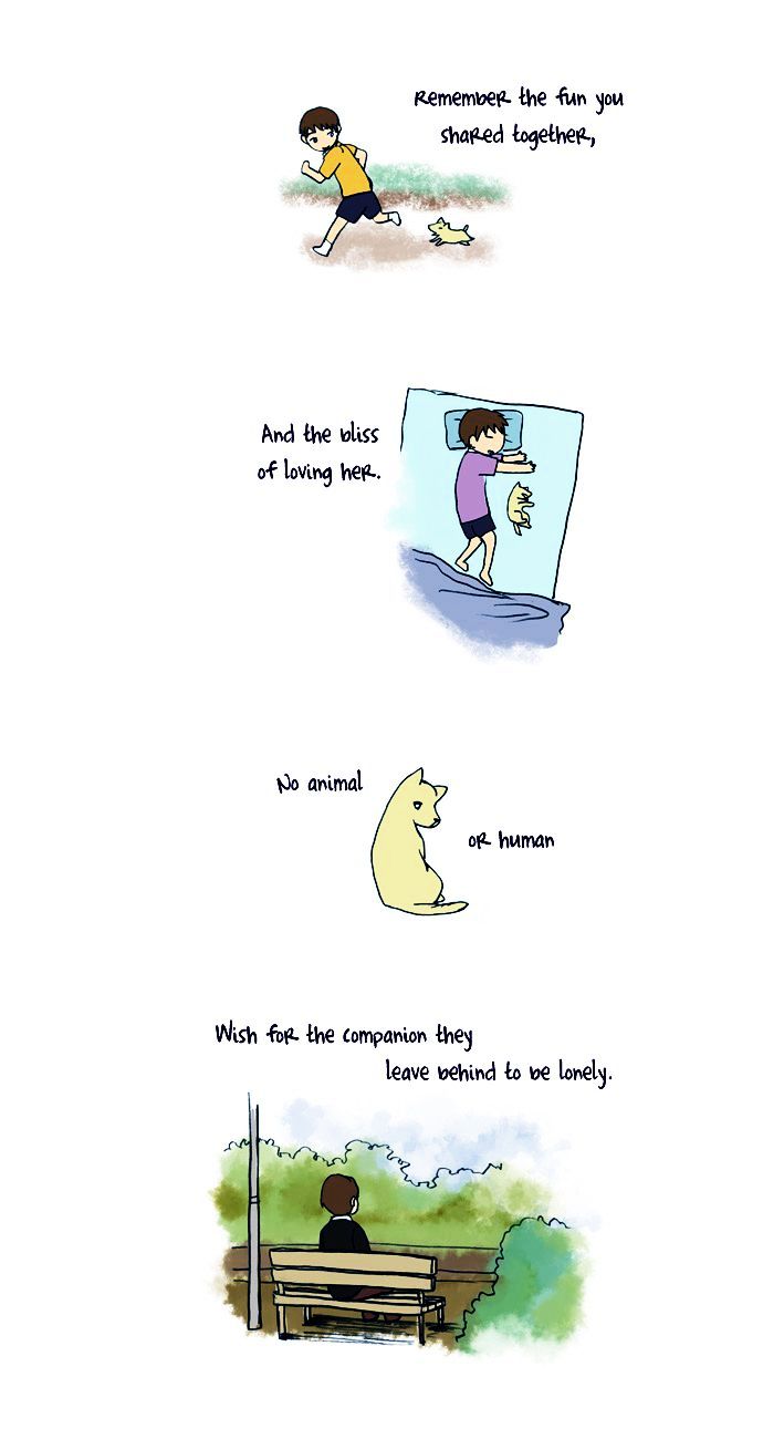 My Young Cat and My Old Dog Chapter 47 page 2 - Chapter 47