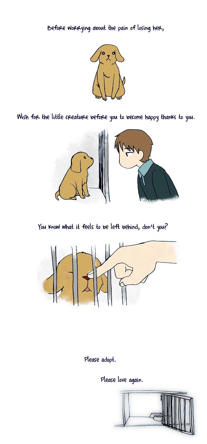 My Young Cat and My Old Dog Chapter 47 page 3 - Chapter 47