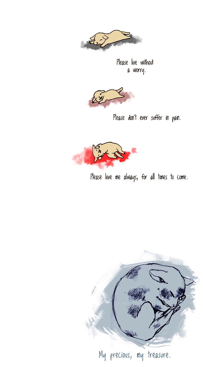 My Young Cat and My Old Dog Chapter 49 page 4 - Chapter 49