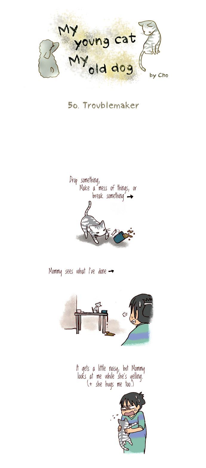 My Young Cat and My Old Dog Chapter 50 page 1 - Chapter 50