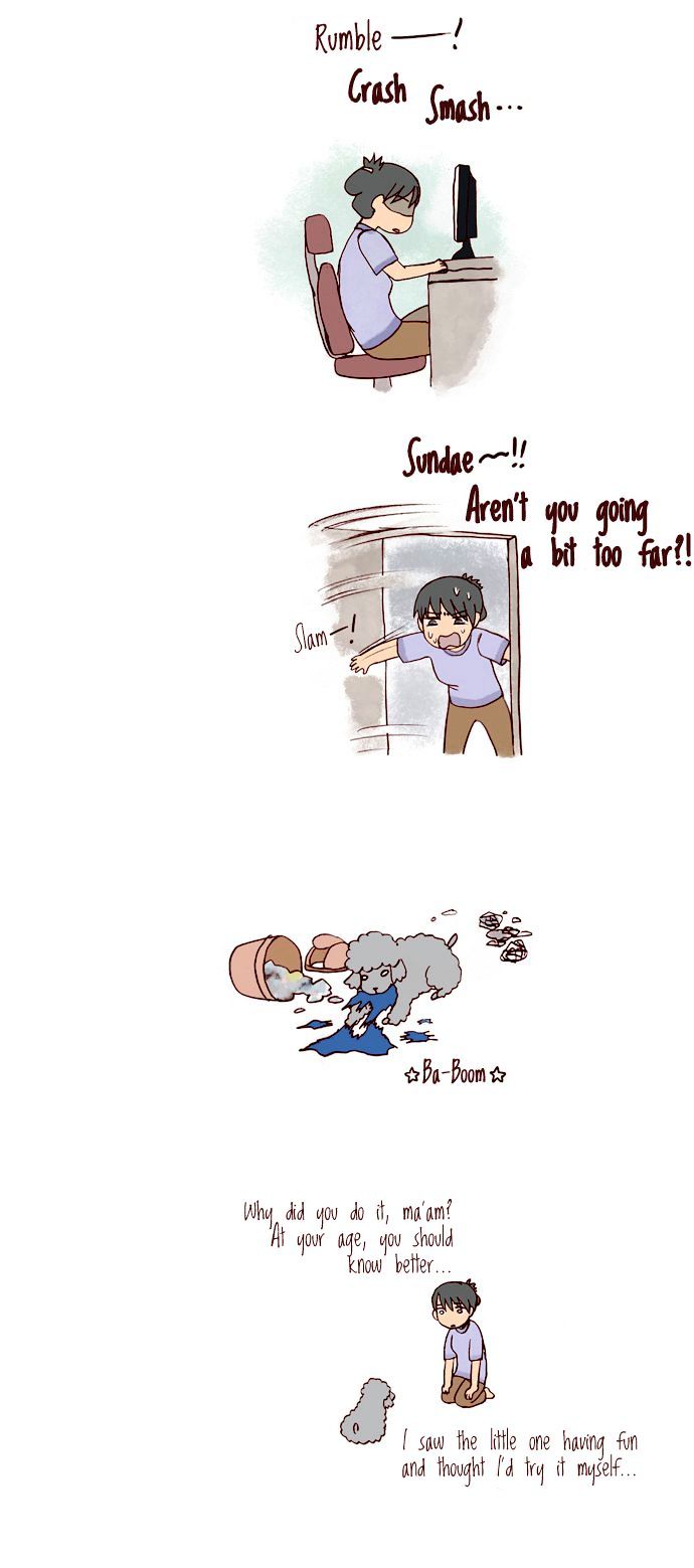 My Young Cat and My Old Dog Chapter 50 page 4 - Chapter 50