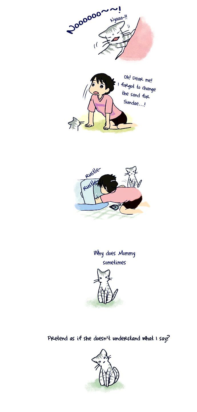 My Young Cat and My Old Dog Chapter 54 page 3 - Chapter 54