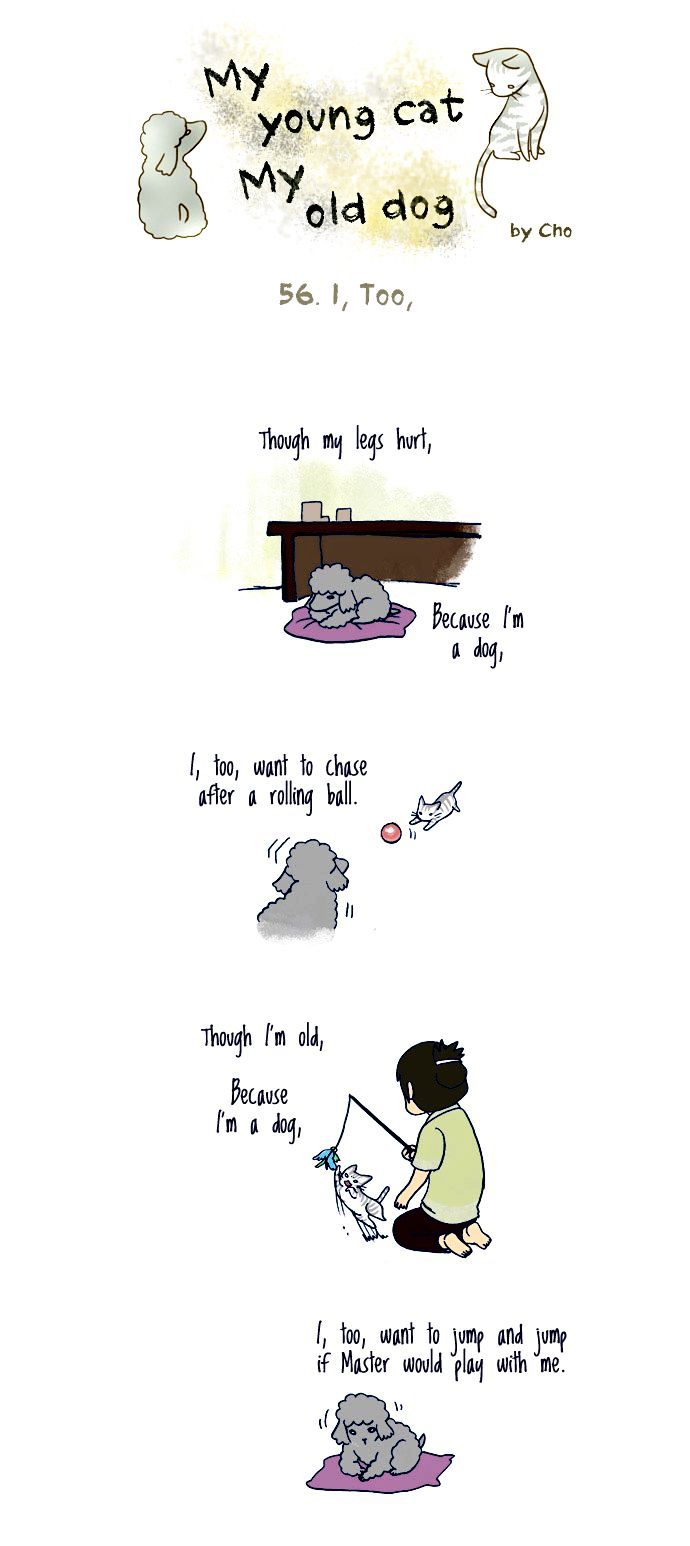 My Young Cat and My Old Dog Chapter 56 page 1 - Chapter 56