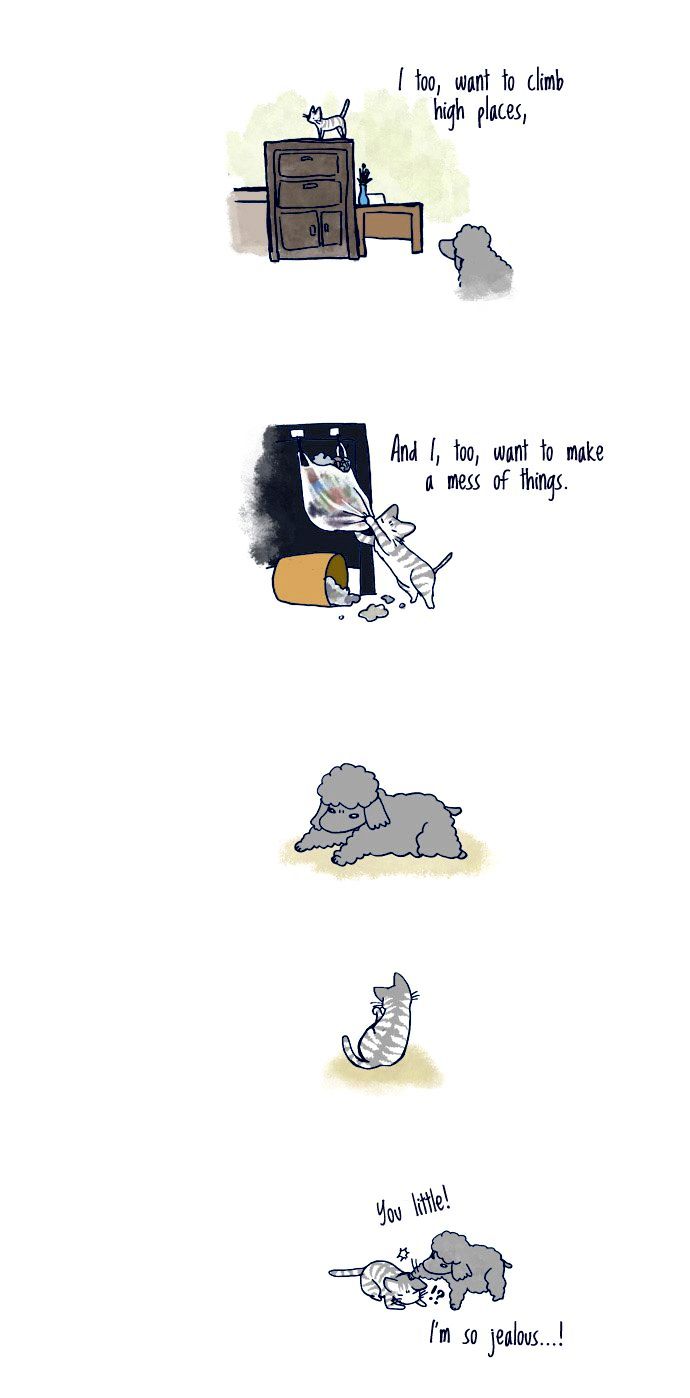 My Young Cat and My Old Dog Chapter 56 page 2 - Chapter 56
