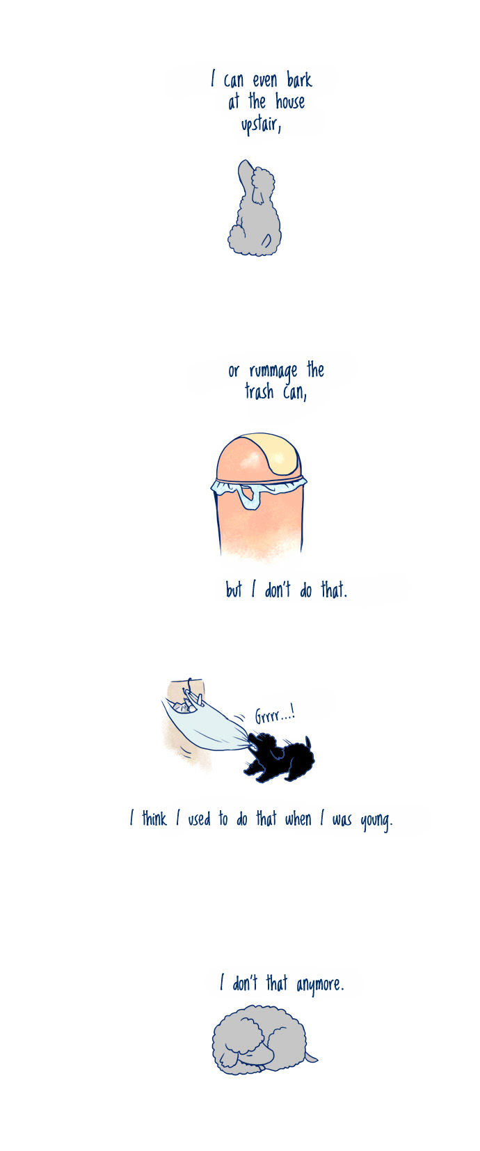 My Young Cat and My Old Dog Chapter 6 page 2 - Chapter 6 : I'm 16 Years Old