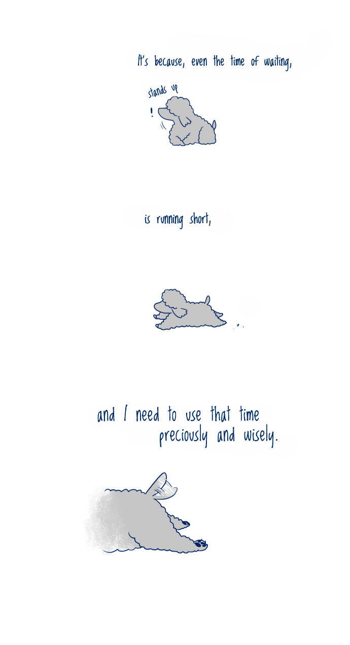 My Young Cat and My Old Dog Chapter 6 page 3 - Chapter 6 : I'm 16 Years Old