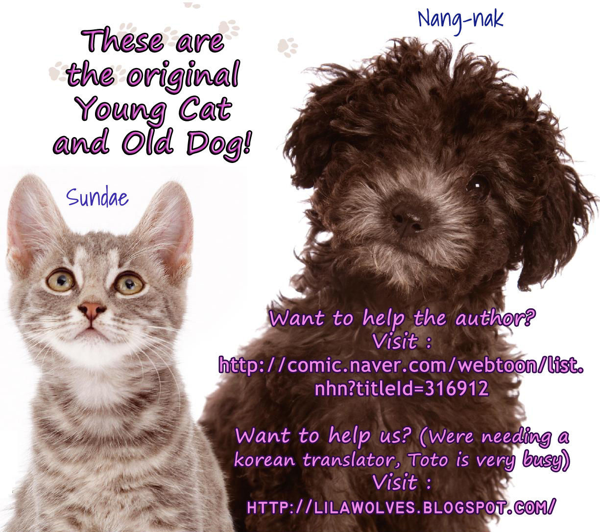 My Young Cat and My Old Dog Chapter 6 page 4 - Chapter 6 : I'm 16 Years Old