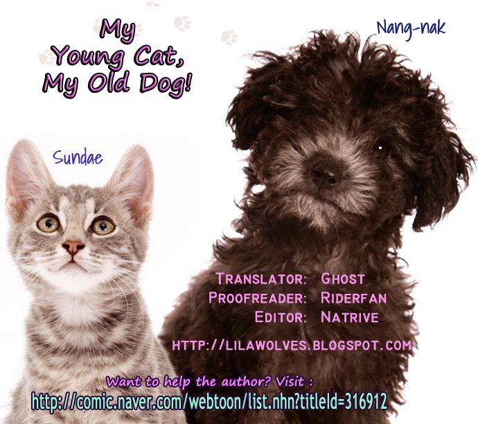My Young Cat and My Old Dog Chapter 61 page 4 - Chapter 61 : Every Morning