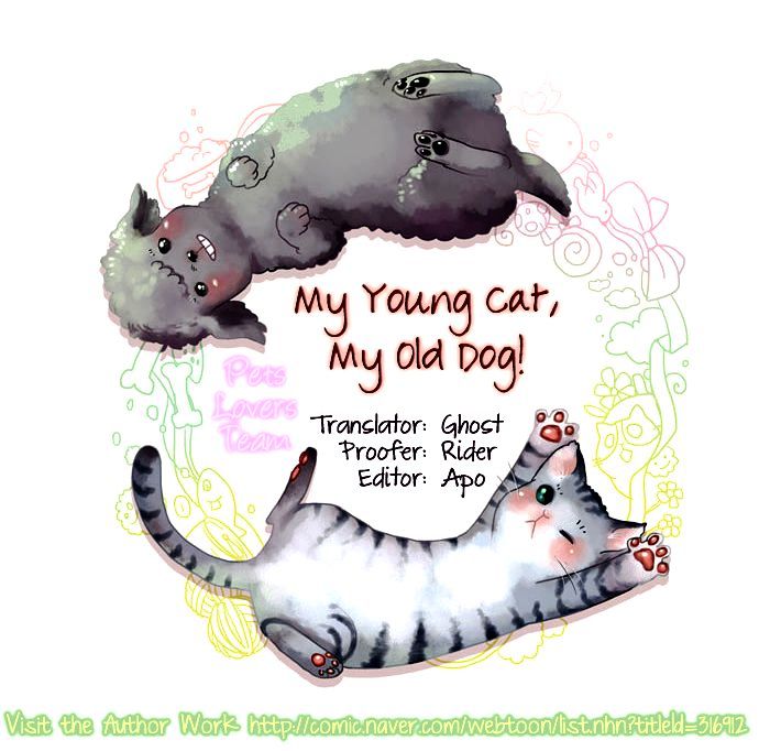 My Young Cat and My Old Dog Chapter 64 page 3 - Chapter 64 : Wuuaah!