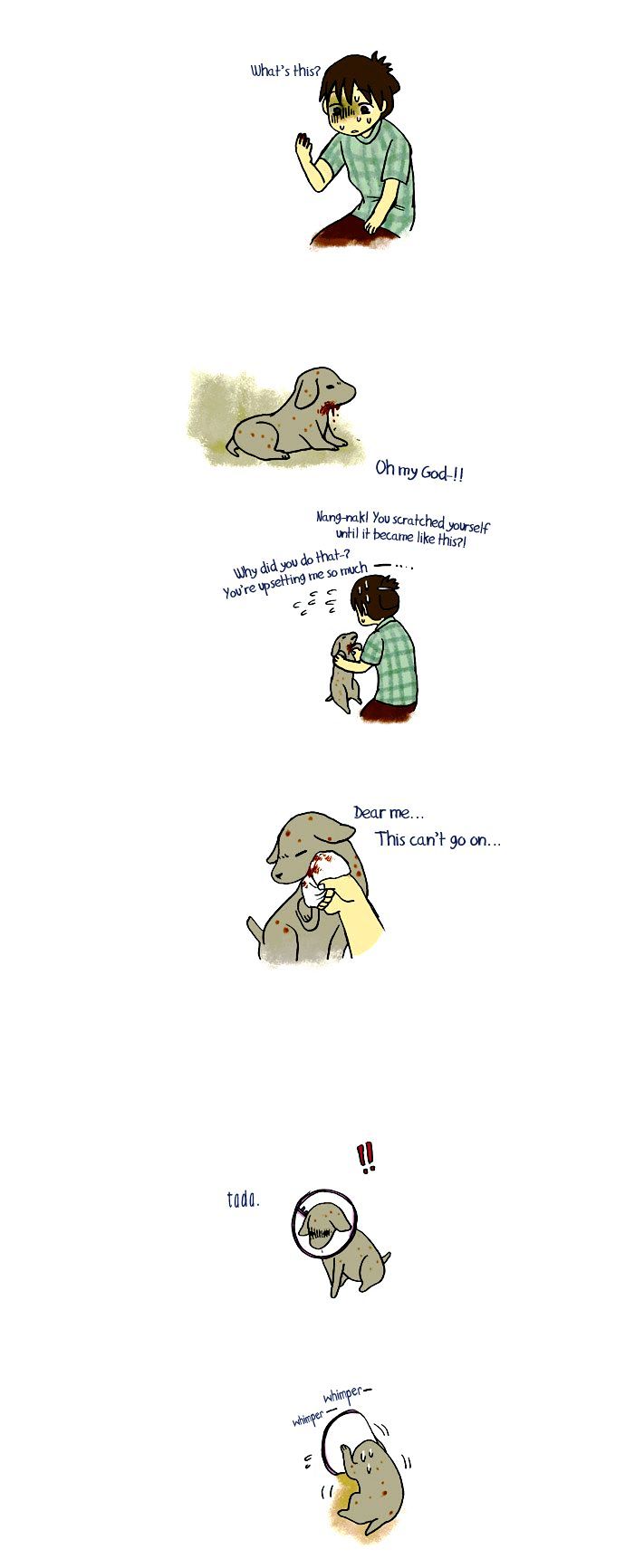 My Young Cat and My Old Dog Chapter 65 page 2 - Chapter 65 : What to do...