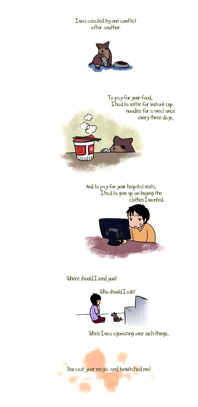 My Young Cat and My Old Dog Chapter 67 page 2 - Chapter 67 : It's Magic