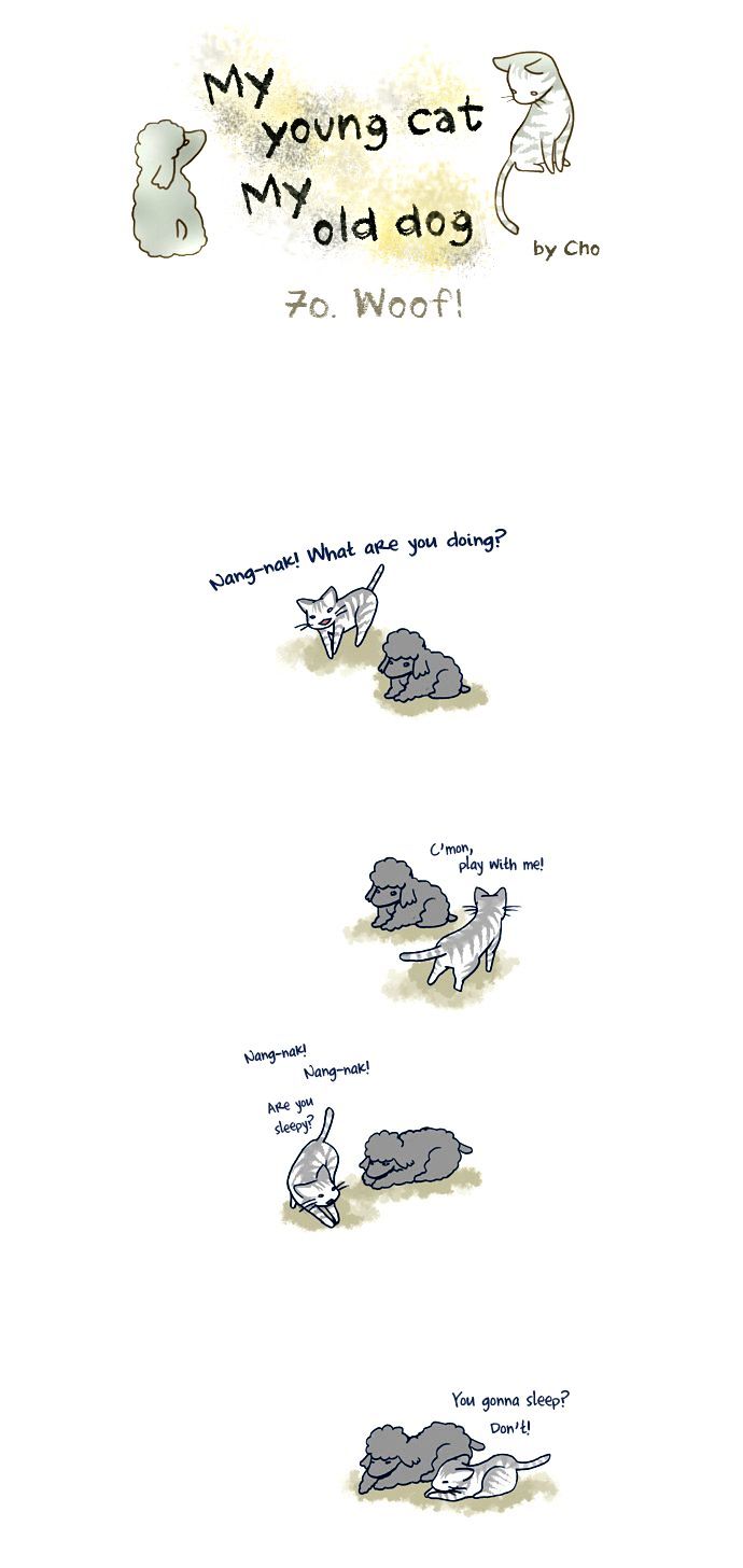 My Young Cat and My Old Dog Chapter 70 page 1 - Chapter 70 : Woof!