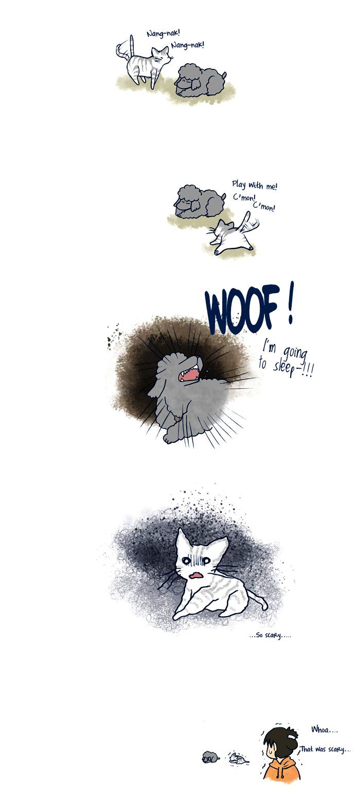 My Young Cat and My Old Dog Chapter 70 page 2 - Chapter 70 : Woof!