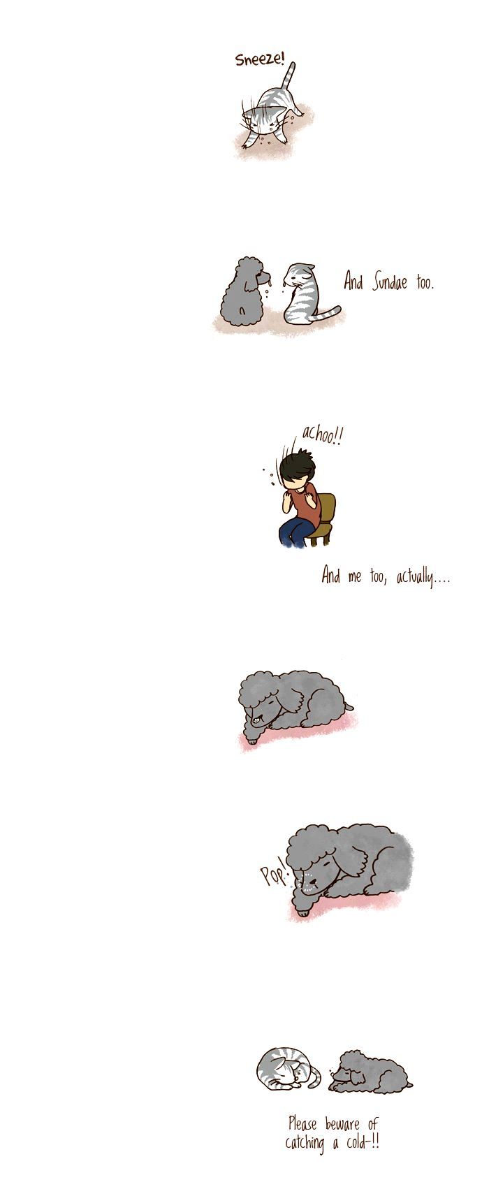 My Young Cat and My Old Dog Chapter 71 page 3 - Chapter 71 : And once again its...