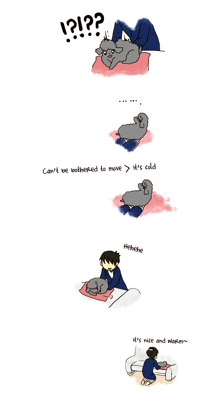 My Young Cat and My Old Dog Chapter 83 page 3 - Chapter 83 : Nice and Warm