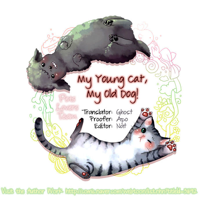 My Young Cat and My Old Dog Chapter 83 page 4 - Chapter 83 : Nice and Warm