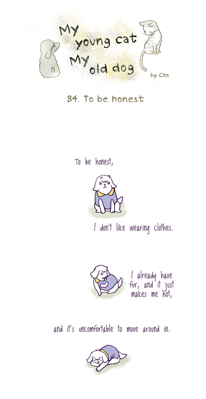 My Young Cat and My Old Dog Chapter 84 page 1 - Chapter 84 : To be Honest