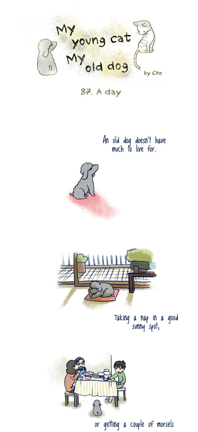 My Young Cat and My Old Dog Chapter 87 page 1 - Chapter 87 : A day